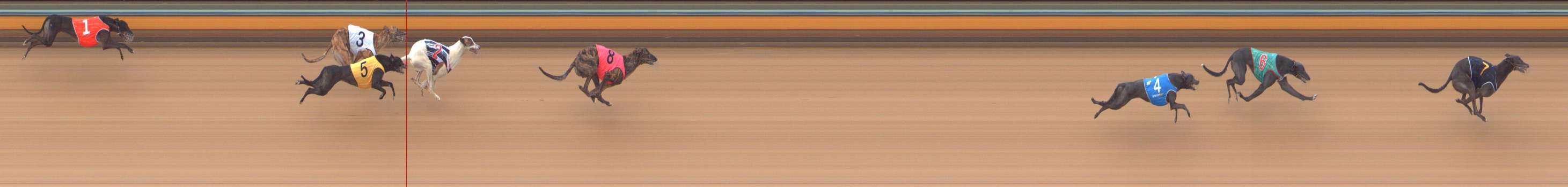 Race result finish photo